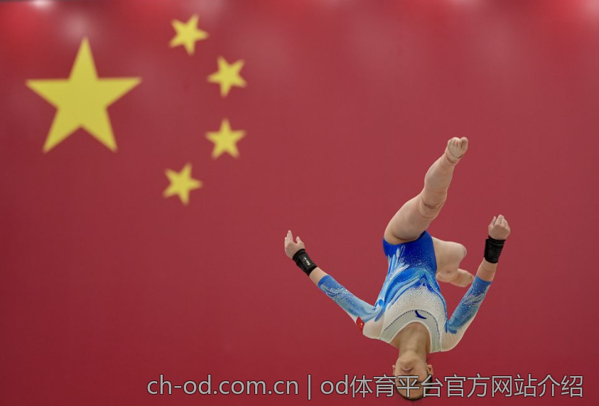 od体育平台官方网站介绍
