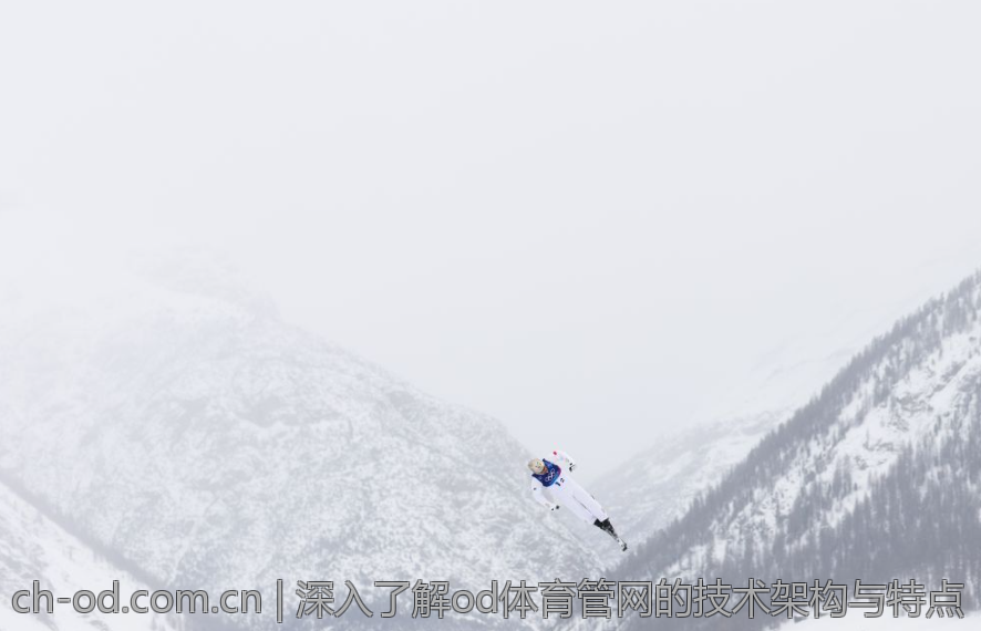 深入了解od体育管网的技术架构与特点